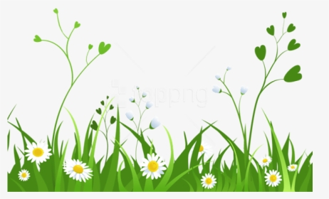 Download Daisies With Grasspicture Png Images Background - Garden Clipart Transparent Background, Png Download, Transparent PNG