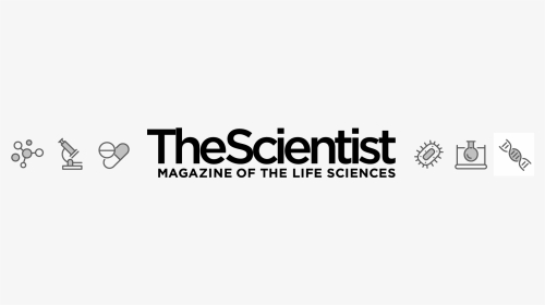 Scientist Magazine, HD Png Download, Transparent PNG
