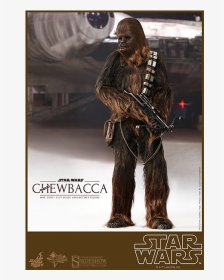 Star Wars Chewbacca 1/6 - Star Wars Chewbacca, HD Png Download, Transparent PNG