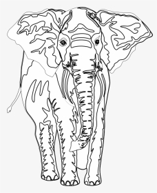 Artfavor Elephant Black White Line Art 555px - Indian Elephant, HD Png Download, Transparent PNG