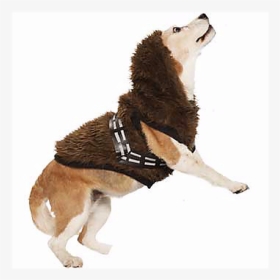 Petco Star Wars Costume Chewbacca, HD Png Download, Transparent PNG