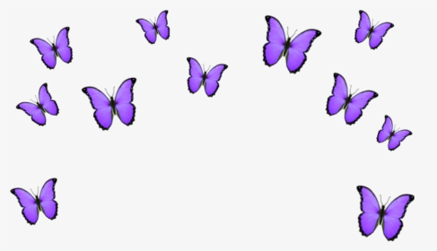 Transparent Purple Crown Png - Transparent Blue Butterfly Emoji, Png Download, Transparent PNG