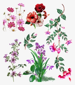 Textile Digital Design Flowers Motifs, Vector,flower,vector - Textile Digital Flower Design, HD Png Download, Transparent PNG