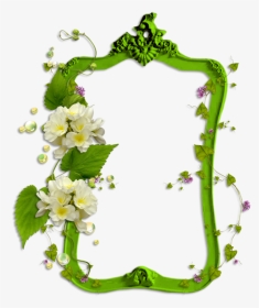 Cadre Avec Décor - Frame Creative Green Floral Border Design, HD Png Download, Transparent PNG