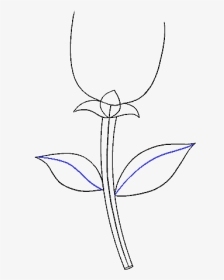 How To Draw Simple Rose - Drawing, HD Png Download, Transparent PNG
