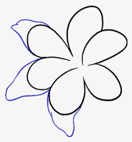 How To Draw Lily - Line Art, HD Png Download, Transparent PNG
