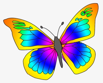 Many Colored Butterfly - Clipart Picture Of Butterfly, HD Png Download, Transparent PNG