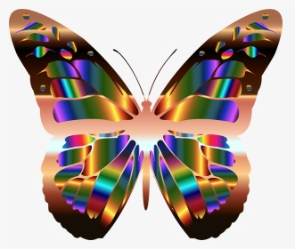 Butterfly Png, Transparent Png, Transparent PNG