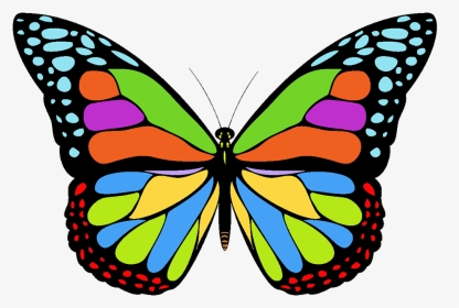 Transparent Butterfly Png Images - Monarch Butterfly Clipart, Png Download, Transparent PNG