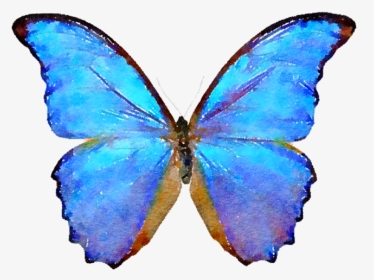 Blue Watercolor And Psd - Butterfly Png Transparent, Png Download, Transparent PNG