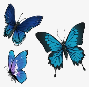 Butterflies Drawing Group - Painting Of Group Butterflies, HD Png Download, Transparent PNG