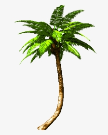 Palm Tree Png Animated Rotate Resize Tool Trees - Palm Tree Gif Png, Transparent Png, Transparent PNG