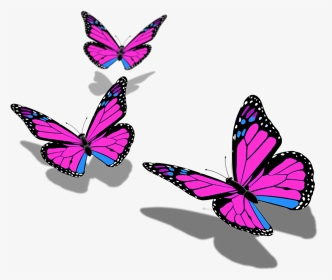 Butterfly Butterflies Mariposa Ftestickers Stickers - Transparent Background Butterfly Png Hd, Png Download, Transparent PNG