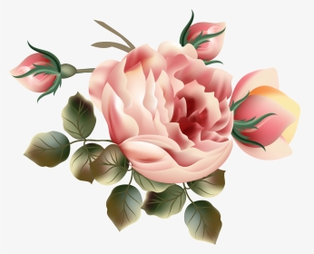 Gardener Clipart Planted Flower - Hybrid Tea Rose, HD Png Download, Transparent PNG