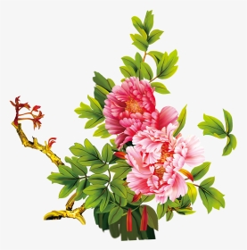 Free Download Images Of Flowers Png Stock Floral Design - 牡丹 花, Transparent Png, Transparent PNG
