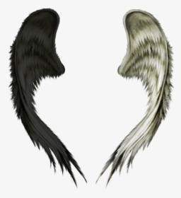 Good And Evil Wings, HD Png Download, Transparent PNG