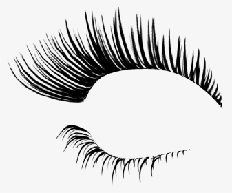 Eyelash Png - Transparent Background Eyelashes Transparent, Png Download, Transparent PNG