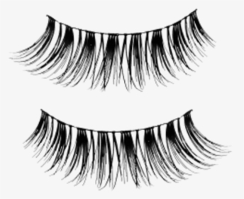 #eyelashes #black #eyes #eye #iris #lash #fake Lashes - Transparent Background Lashes Png, Png Download, Transparent PNG
