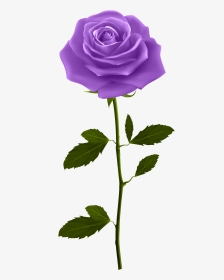 Purple Rose Png Roses Cartoon With Stem Clip Art - Purple Rose With Stem, Transparent Png, Transparent PNG