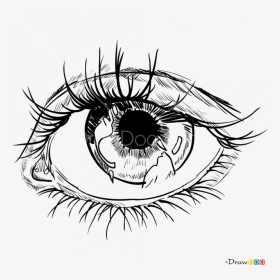 Apache Drawing Realistic - Sketch, HD Png Download, Transparent PNG