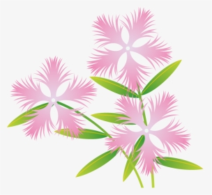 秋の花1 08 なでしこ 花の無料イラスト素材 イラストポップ - 無料 イラスト 秋 花, HD Png Download, Transparent PNG