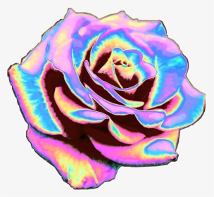 #rose #flower #flowers #holo #holographic #rose #holo - Rainbow Rose No Background, HD Png Download, Transparent PNG