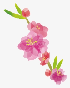 ひな祭り 桃 の 花 イラスト, HD Png Download, Transparent PNG