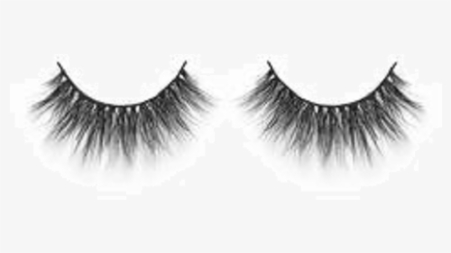 Lilly Lashes Faux Mink Miami, HD Png Download, Transparent PNG