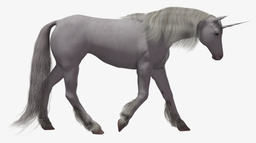Clipart Unicorn Transparent Background - Realistic Magical Unicorn Png, Png Download, Transparent PNG