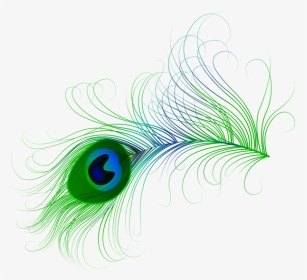 Feathers Clipart Png - Transparent Peacock Feather Png, Png Download, Transparent PNG