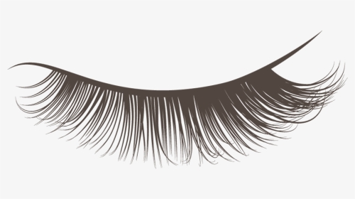 Best Lashcraft Eyelash Extensions - Transparent Background Lashes Clipart, HD Png Download, Transparent PNG