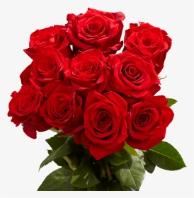 Red Roses Valentine S Day Delivery - Beautiful Red Rose Flowers, HD Png Download, Transparent PNG