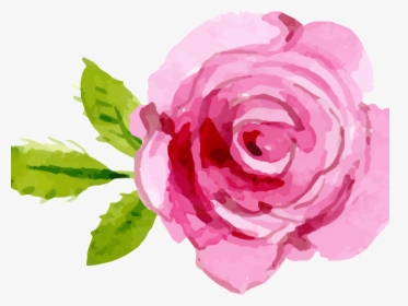 Pink Rose Clipart Transparent Background - Pink Rose Png Clipart, Png Download, Transparent PNG