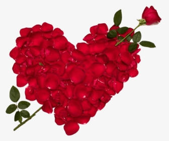 Valentines Day Roses Make Heart Png Images - Love Rose Flower, Transparent Png, Transparent PNG