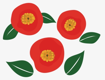 かわいい椿つばきのイラスト 花年賀状にも 商用フリー - 椿 イラスト, HD Png Download, Transparent PNG
