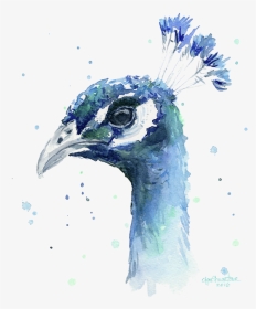 Peacock Watercolor Painting, HD Png Download, Transparent PNG