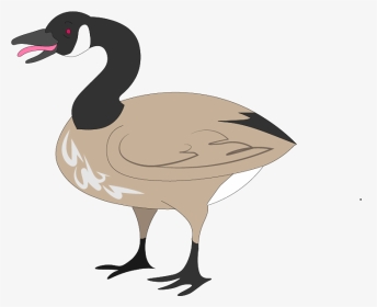 Canada Goose Illustrated For A North By Northwestern, HD Png Download, Transparent PNG