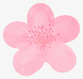 A By Bom Ultra Floral Leaf 2-step Mask 1 Box Of 5 Sheets - Cherry Blossom, HD Png Download, Transparent PNG