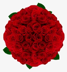 Red Roses For Valentine S Day - Garden Roses, HD Png Download, Transparent PNG