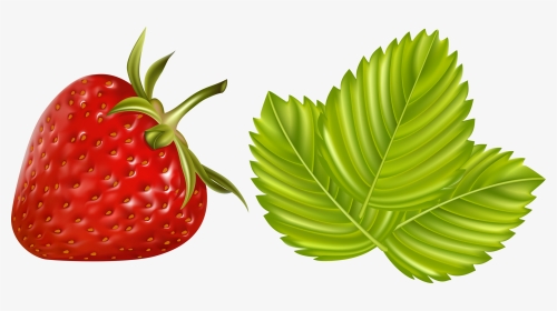 Fruits Vegetables And Berries - Клубника Мультяшная Пнг, HD Png Download, Transparent PNG