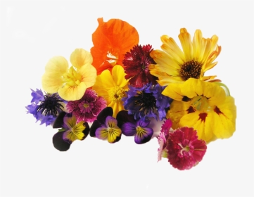 Edible Flowers Png, Transparent Png, Transparent PNG
