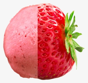 Succelent Strawberry - Gelato Strawberry Png, Transparent Png, Transparent PNG