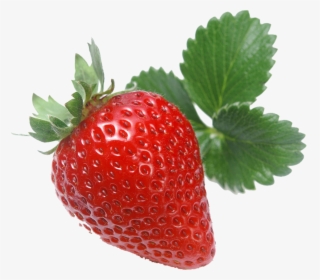 Strawberry Vector Png - Wild Strawberries In Png, Transparent Png, Transparent PNG