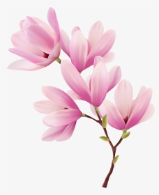 Spring Branch With Pink Tree Flowers Png Clipart - Transparent Spring ...