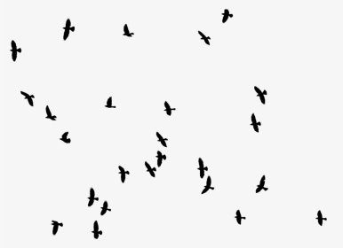 Architecture Birds For Photoshop, HD Png Download, Transparent PNG
