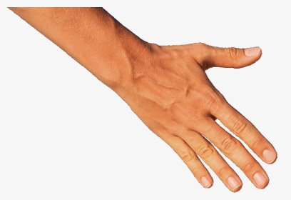Transparent Hand Down , Png Download - Helping Hand Image Transparent, Png Download, Transparent PNG