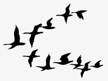 Group Of Birds Png Transparent Images - Cartoon Birds Flying Png, Png Download, Transparent PNG