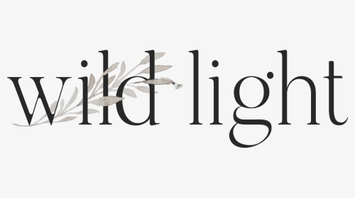 Wild Light - Calligraphy, HD Png Download, Transparent PNG