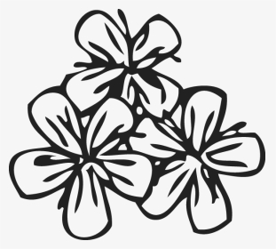 Simple Damask Patterns Png - Flower Patterns In Drawing, Transparent Png, Transparent PNG