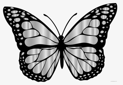 Monarch Butterfly Animal Free Black White Clipart Images - Butterfly Clipart Black And White, HD Png Download, Transparent PNG